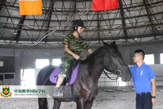 惊雷最新版的震撼来袭，探索其独特魅力与革新之处