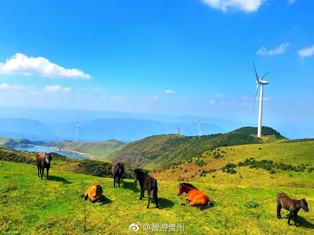 乌蒙山大草原最新探秘，自然之美与人文之韵的交融