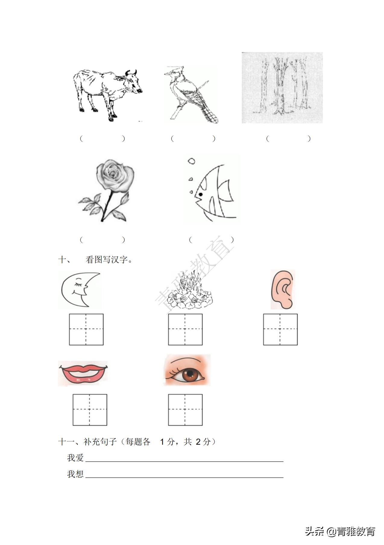 幼小衔接最新政策，探讨其背景、内容与影响