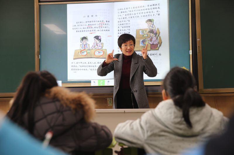 最新小学语文教师用书，重塑语文教学的蓝图